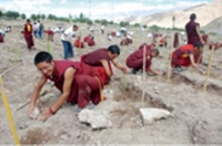 Live To Love - Tree Planting in Ladakh on 10.10.10