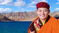 His Eminence Thuksey Rinpoche to visit London in February